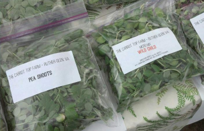 micro greens samples